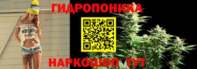 дживик Кунгур