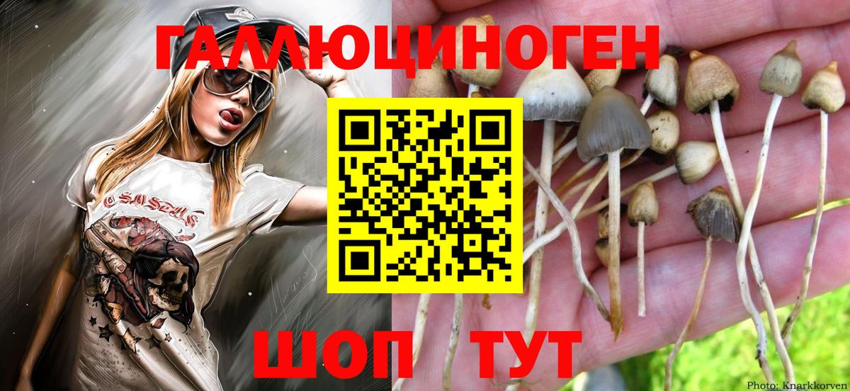 Каннабис  Гашиш  Карачаевск  МЕФ кристаллы  Лсд 25  Вход с VPN  ТГК 