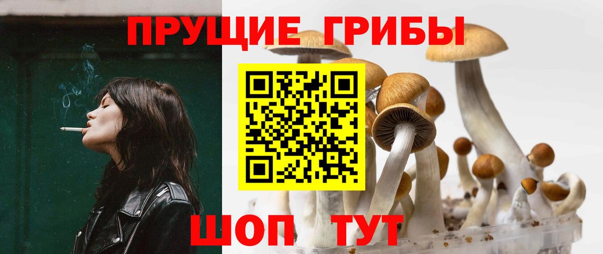 закладки  Псилоцибиновые грибы мухоморы  Вход с VPN  Карачаевск 