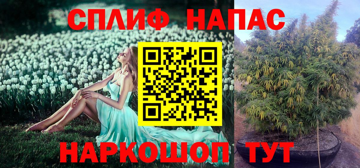 Канабис сатива Карачаевск